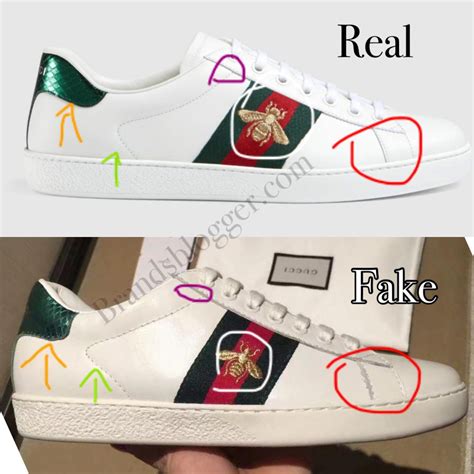 ciucci fake gucci|how to tell if gucci shoes are real.